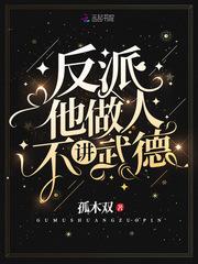 反派他做人不讲武德封面