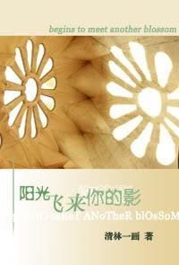 阳光飞来你的影封面