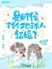 是时候找个地球人结婚了封面
