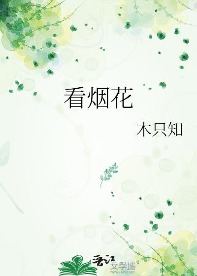 看烟花封面
