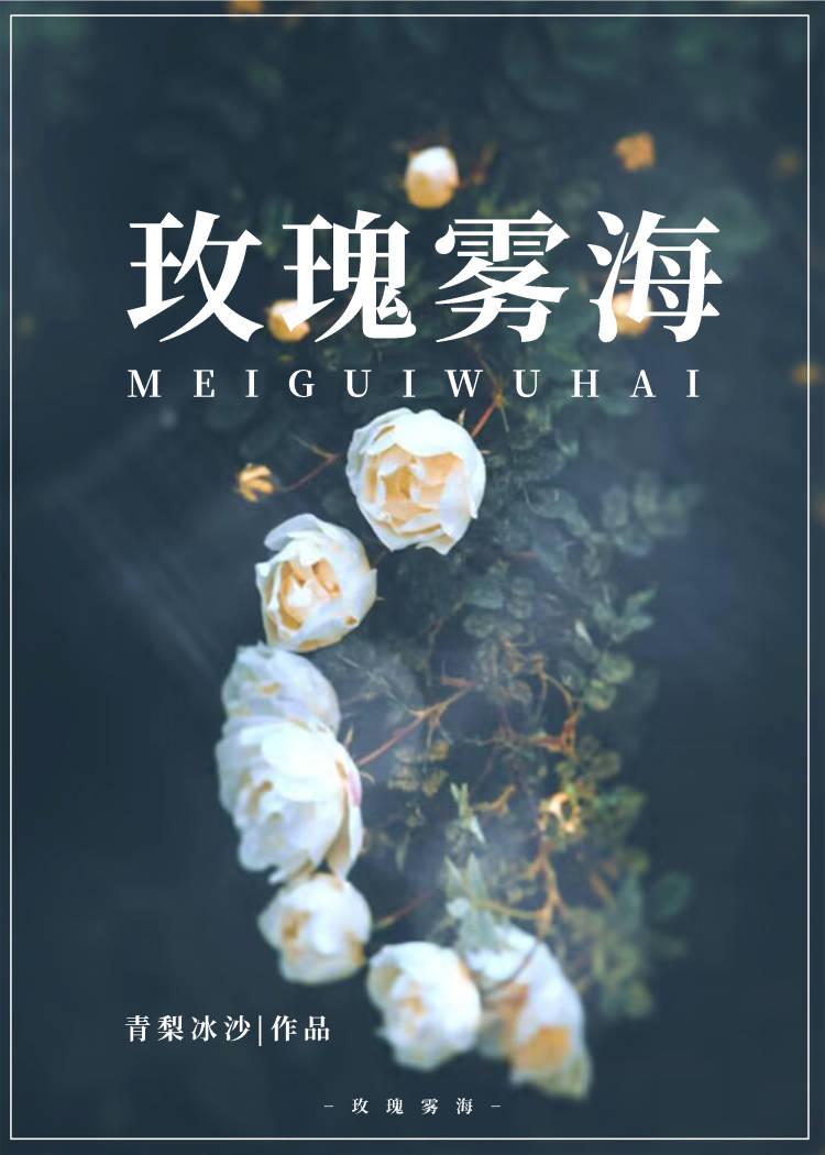 蔷薇雾海封面