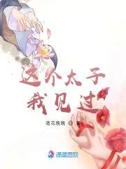 这个太子我见过封面