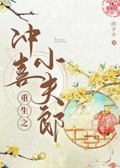 重生之冲喜小夫郎封面