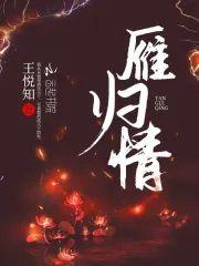雁归情封面