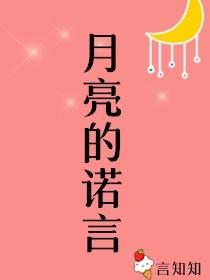 月亮的诺言封面