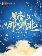 李轩的小说叫什么名字封面