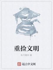 重捡文明封面