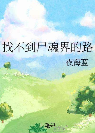 找不到尸魂界的路封面