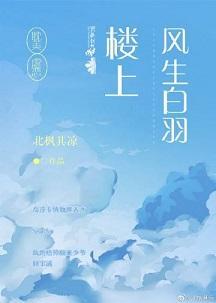 楼上风生白羽封面