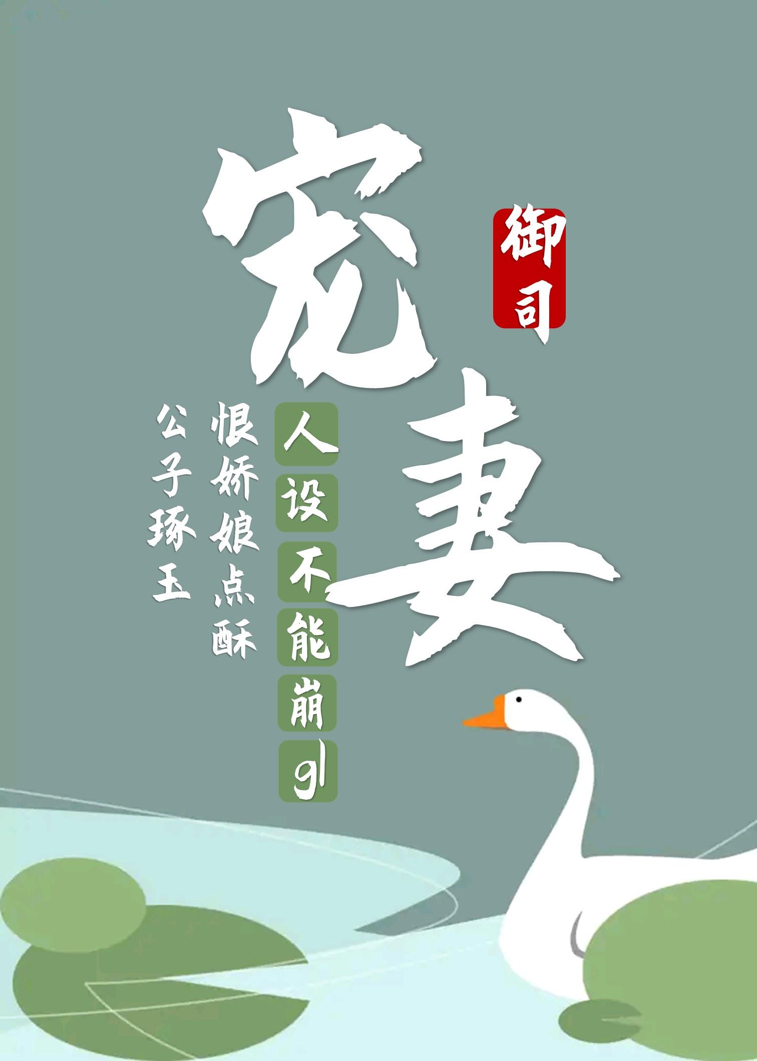 宠妻糙汉封面