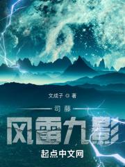 司藤：风雷九影封面