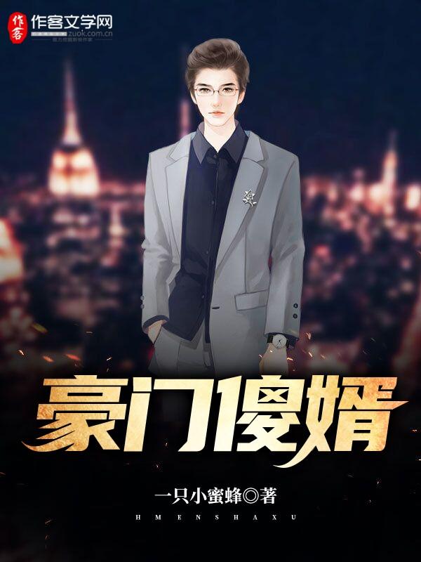 豪门傻婿封面