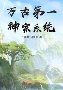 万古第一神宗系统封面