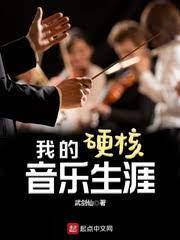我的硬核音乐生涯封面