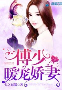 傅少暖宠娇妻封面
