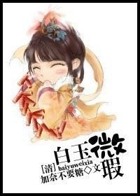 [清]白玉微瑕封面