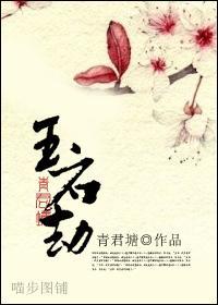 玉石劫封面