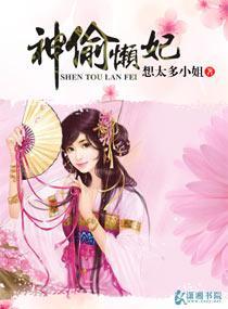 神偷懒妃封面