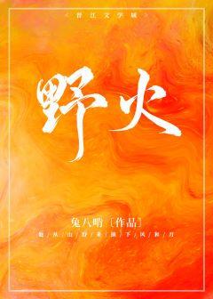 野火封面