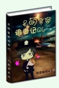 呆萌追妻记GL封面