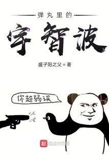 弹丸裏的宇智波封面