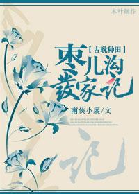 枣儿沟发家记封面
