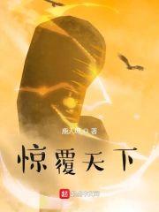 惊覆天下封面
