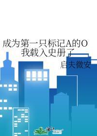 成为第一只标记A的O我载入史册了封面