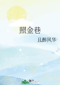 照金巷封面