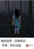 我的世界——风卷残云封面