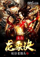 林枫全文封面