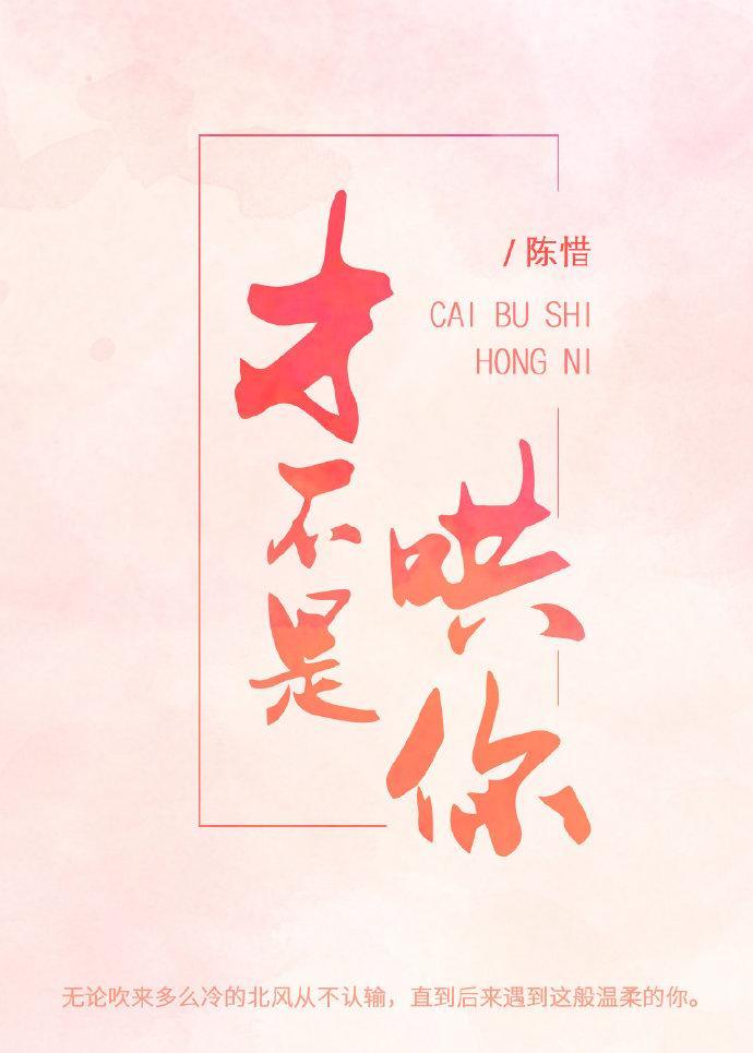 才不是哄你封面