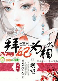 拜妃为相封面
