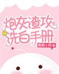 炮灰渣攻洗白手册［快穿］封面