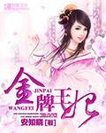 金牌王妃封面