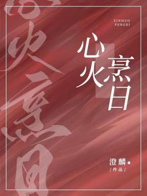 心火烹日封面