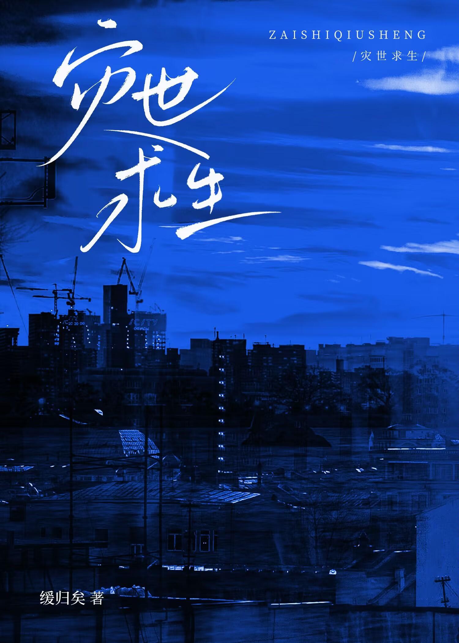 灾世求生封面