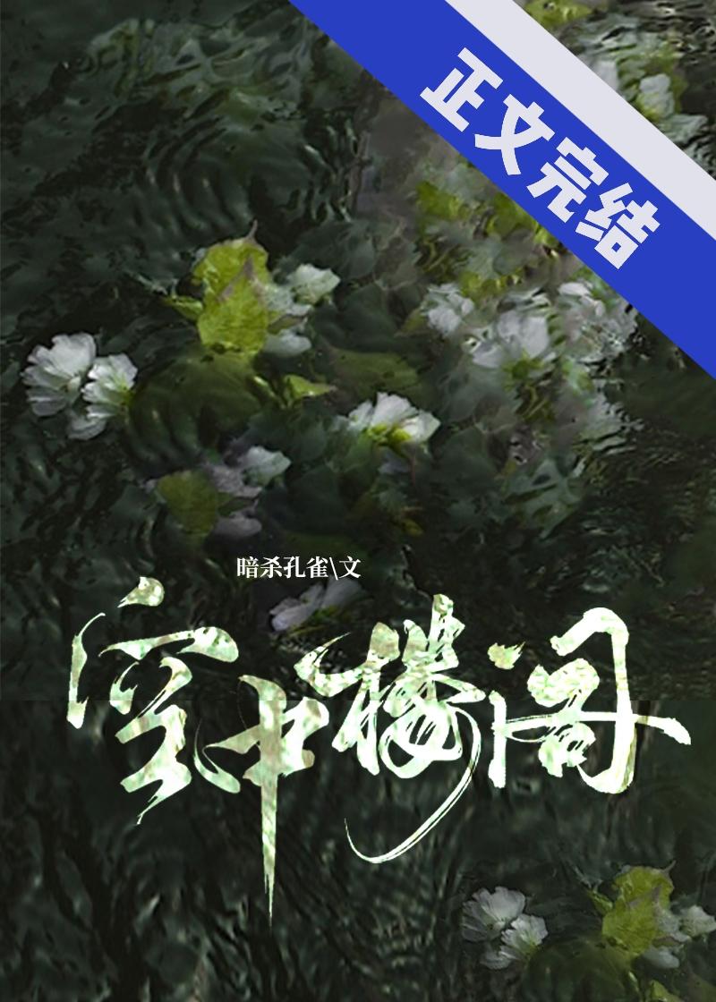 空中楼阁封面