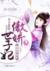 天定姻缘：傲娇世子妃封面