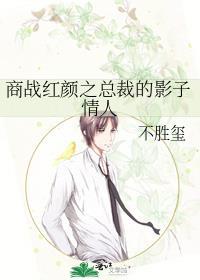 商战红颜之总裁的影子情人封面