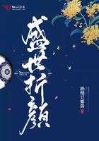 盛世容颜宝儿封面