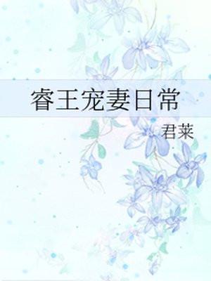 睿王宠妻日常封面