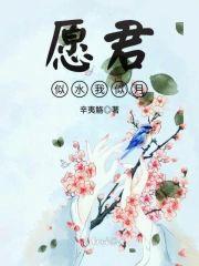 愿君似水我似月封面