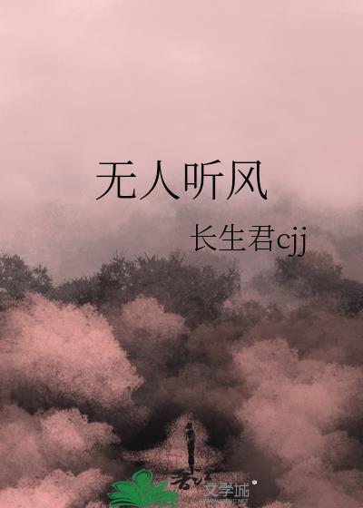 无人听风封面