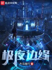 极夜边缘封面