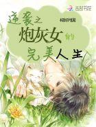 炮灰女的完美逆袭封面
