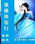 网游之纵横侠客行封面
