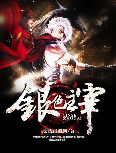 银色主宰封面