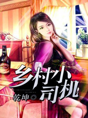 乡村小司机封面
