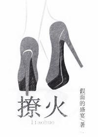 撩火封面